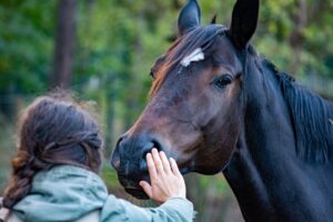 horse, hand, friendship-5628881.jpg